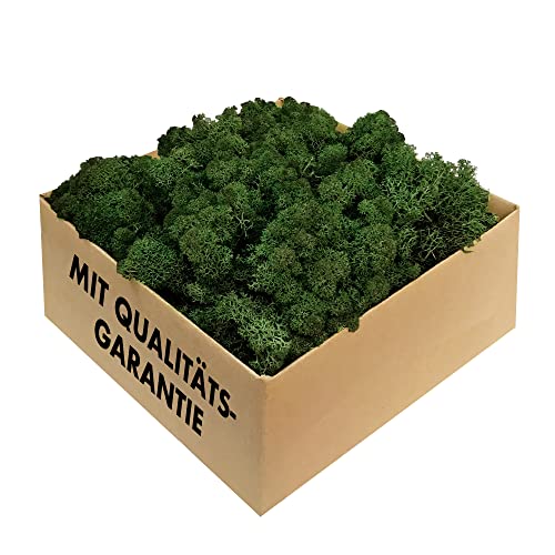 GJS Islandmoos - konserviertes Moos in 200g/500g/1kg/4kg für Moosbilder, als Deko oder zum Basteln (dunkelgrün, 200g) von GJS