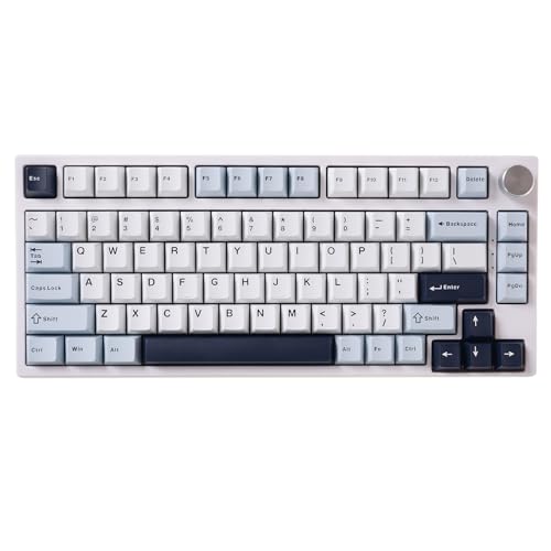 GK GAMAKAY TK75 HE Hall Effekt Tastatur Rapid Trigger Magnetschalter Mechanische Tastatur, Bluetooth/2.4GHz/Wired RGB PBT Tastenkappen Hot-Swap-fähig Gaming Tastatur (Weiß, Mercury Switch) von GK GAMAKAY