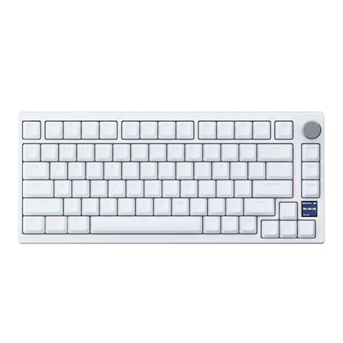 GK GAMAKAY TK75HE V2 75% Rapid Trigger Wired Mechanische Tastatur mit TFT Bildschirm, 8KHz Polling Rate 0.01mm RT Accuracy, Snap Tap, Hall Effekt Magnetschalter Tastatur (Weiß-V2 Magnetic Mercury) von GK GAMAKAY