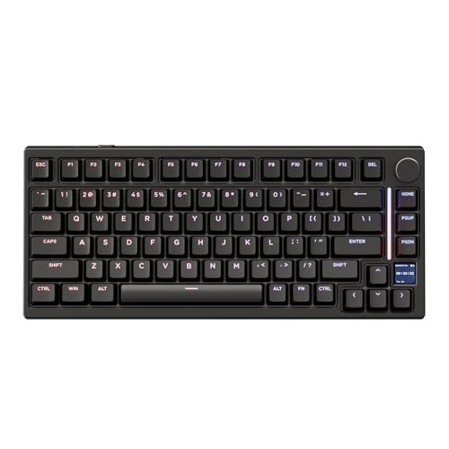 GK GAMAKAY TK75HE V2 75% Rapid Trigger Wired Mechanische Tastatur mit TFT Bildschirm, 8KHz Polling Rate 0.01mm RT Accuracy, Snap Tap, Hall Effekt Magnetschalter Tastatur (Schwarz-V2 Magnetic Mercury) von GK GAMAKAY