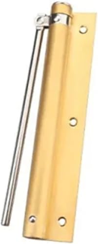 GKIRQVPE ，Ipager, nägel mit metallplatten， Einstellbare Edelstahl Feder Scharnier Montiert Automatische Tür Näher Multicolor(Brushed Gold) von GKIRQVPE