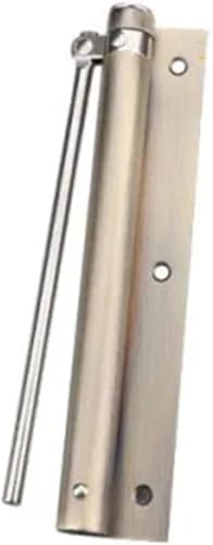 GKIRQVPE ，Ipager, nägel mit metallplatten， Einstellbare Edelstahl Feder Scharnier Montiert Automatische Tür Näher Multicolor(Green Bronze) von GKIRQVPE