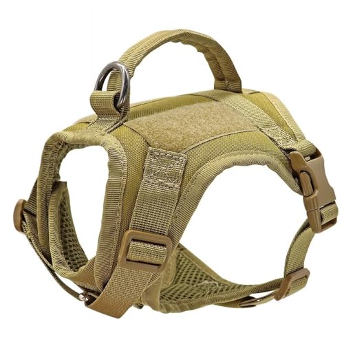 Militärische Taktische Robuste Nylon-Katzengeschirrweste Mit Kontrollgriff. Militärisches Taktisches Katzengeschirr Für Katzen Im Freien, Für Kleine Und Mittlere Hunde Und Katzen, Zum Traini Militärische Taktische Robuste Nylon-Katzengeschirrweste Mit Kontrollgriff. Militärisches Taktisches Katzengeschirr Für Katzen Im Freien, Für Kleine Und Mittlere Hunde Und Katzen, Zum Traini von GKRB