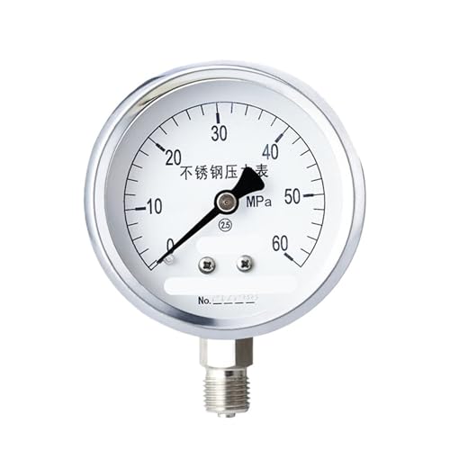 Y-60BF Edelstahl-Manometer 0–0,6 MPa 304 M14 x 1,5 (0–60 MPa) von GKSNCJSMF