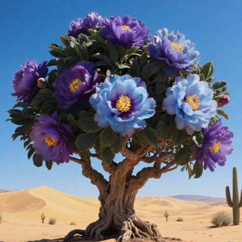 Die echte Wüstenrose ist robust, kältetolerant und pflegeleicht-4 Wurzeln-F Die echte Wüstenrose ist robust, kältetolerant und pflegeleicht-4 Wurzeln-F von GKUHGCA