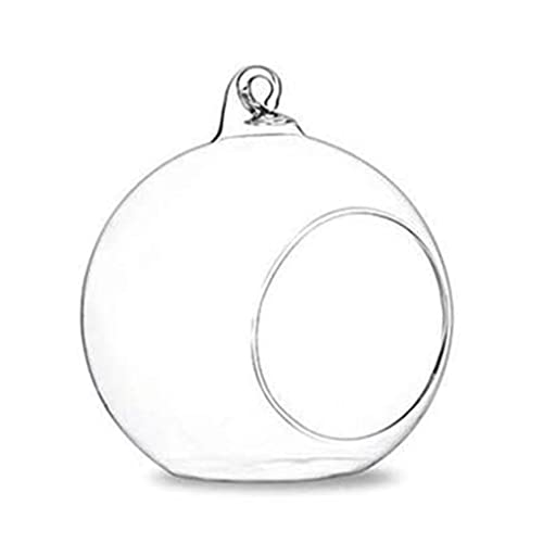 Hanging Glass Terrarium Tea Hellkerzenhalter Succulents Vase Hanger Für Home Hochzeitsfeier Innenkerndekoration Großes Glas Terrarium Für Reptilien von GKYQVE