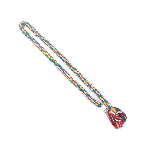 GKYQVE Kleine Haustier Schwungspielzeugpapageien Käfig Hangseil Hamster Leiter Kletterseil Kleine Geschenke Käfigübung Spielzeug Haustier Übung Ausrüstung von GKYQVE