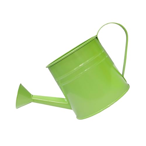 Metallwässerung Können Stilvolle Metallgaserflasche Einzigartige Pflanzenvase Für Home Office Garten Schmücken Dekorativen Eiseneimer von GKYQVE
