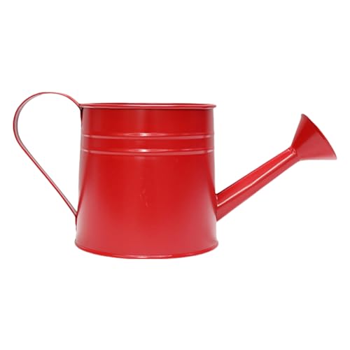 Metallwässerung Können Stilvolle Metallgaserflasche Einzigartige Pflanzenvase Für Home Office Garten Schmücken Dekorativen Eiseneimer von GKYQVE