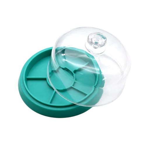 Uhrstaubabdeckungsschale Bewegungswerkzeugbewegungsbewegung Tool Tool Speicherung Und Organisationslösung von GKYQVE