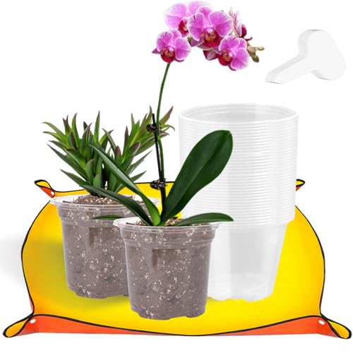 Orchideentopf 30 Stück Klare Anzuchttöpfe mit Pflanzmatte 10,5cm Pflanztopf Pflanzentöpfe Pflanztöpfe Anzuchttopf Blumentopf Orchideentöpfe Blumentöpfe Pflanzentopf für Sukkulenten, Samen, Setzlinge von GKZB
