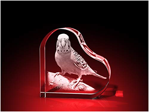 GLASFOTO.COM personalisiertes Glasfoto in Herzform mit Ihrem eigenen Bild – Kristallglas mit Innengravur als anpassbares Geschenk 58 x 58 x 30 mm GLASFOTO.COM personalisiertes Glasfoto in Herzform mit Ihrem eigenen Bild – Kristallglas mit Innengravur als anpassbares Geschenk 58 x 58 x 30 mm von GLASFOTO.COM 3 DIMENSIONEN IM GLAS