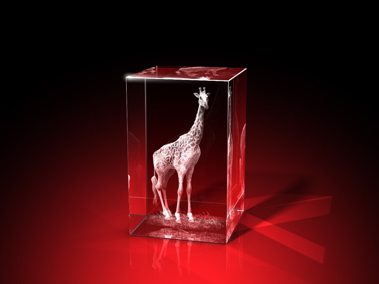 GLASFOTO.COM Dekofigur Hohe Giraffe - Quader von GLASFOTO.COM