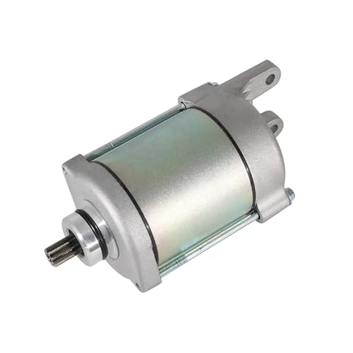 GLBMLMTHZP Anlasser passend for Daelim ATV ET 300 250 DAE-C1200-RB1-0000 C1200-RB1-0000 Anlasser für Motorradmotoren von GLBMLMTHZP