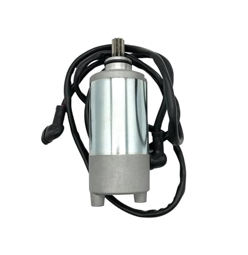 GLBMLMTHZP Starter Motor Assy for Drähte Fit for Bashan 300CC ATV UTV Quad Bike Motor Teile Anlasser für Motorradmotoren von GLBMLMTHZP