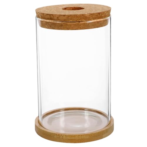 GLEAVI 1 Satz Terrarium Glasbehälter für Hydroponikpflanzen mit Korkverschluss für DIY für Zuhause Garten Büro oder Balkon GLEAVI 1 Satz Terrarium Glasbehälter für Hydroponikpflanzen mit Korkverschluss für DIY für Zuhause Garten Büro oder Balkon von GLEAVI