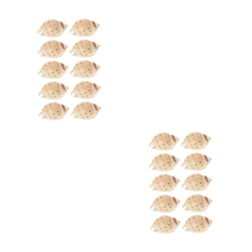 GLEAVI 2 Sätze Muschelschalenproben Muscheln Dekorationen Groß Fischtankdekoration Dekorationsornamente Für Aquarien Natürliches Muscheldekor Aquariumdekor 10 Stück * 2 GLEAVI 2 Sätze Muschelschalenproben Muscheln Dekorationen Groß Fischtankdekoration Dekorationsornamente Für Aquarien Natürliches Muscheldekor Aquariumdekor 10 Stück * 2 von GLEAVI