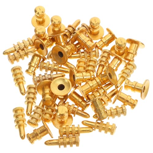 GLEAVI 24 Set Regalhalterungen Goldene Zinklegierung Montageklammern Bücherregal Hardware Regalstütze Pegs Pin Kupfer von GLEAVI