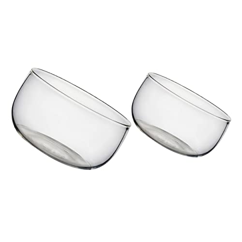 GLEAVI 2Stücke Salat und Dessertschalen Transparente Servierschalen aus Hochwertigem für Partys und Familienfeiern Leicht zu Reinigen Perfektes von GLEAVI