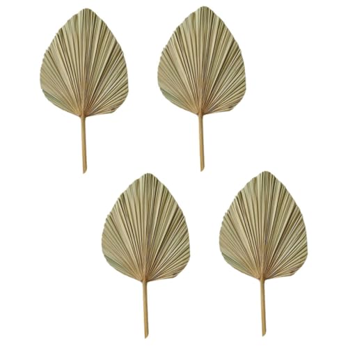 GLEAVI 4 Stück Teiliges Getrocknetes Palmenblatt Natürliche Wand und Tischdeko Robuste Tropische Palmfächer Hochzeit Party Fotorequisite Langlebige Boho Kunstpflanzen Dekoration von GLEAVI