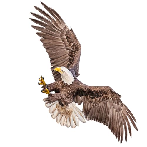 GLEAVI Eagle Wandaufkleber Realistischer Wandtattoo Dekorativer Aufkleber für Wohnzimmer und Büro Selbstklebend und Leicht Abziehbar für Wand DIY GLEAVI Eagle Wandaufkleber Realistischer Wandtattoo Dekorativer Aufkleber für Wohnzimmer und Büro Selbstklebend und Leicht Abziehbar für Wand DIY von GLEAVI