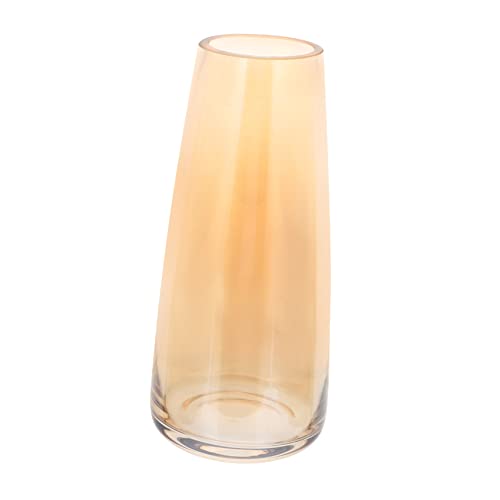 GLEAVI Glasvase Transparent Dekorativ Hydroponisch Geeignet Minimalistisches Design Handgefertigt Stilvolle Blumenvase für Wohnzimmer Büro Balkon Einfache Pflege und Vielseitige Nutzung von GLEAVI