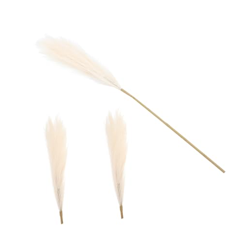 GLEAVI Simulation Pampasgras Deko mit Stiel Beige Künstliche Trockenblumen Strauß für Wohnzimmer Tisch und Innenraum Nordische Herbstdekoration für Restaurants Hotels und Zuhause GLEAVI Simulation Pampasgras Deko mit Stiel Beige Künstliche Trockenblumen Strauß für Wohnzimmer Tisch und Innenraum Nordische Herbstdekoration für Restaurants Hotels und Zuhause von GLEAVI