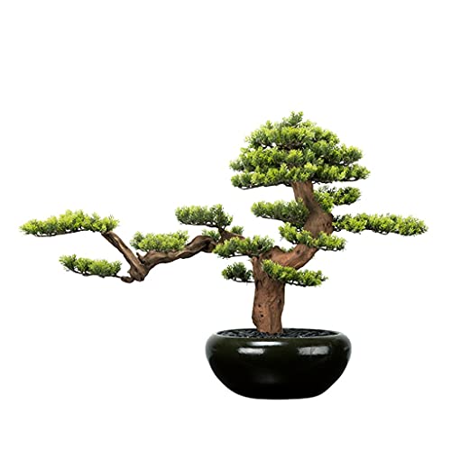 GLETSF Künstliche Baumsimulation Willkommen Kiefer Bonsai Zen Gefälschte Pflanze Topf Teestube Wohnzimmer Grüne Pflanze Dekoration Ornamente 24,0 Zoll Simulation Bonsai-C GLETSF Künstliche Baumsimulation Willkommen Kiefer Bonsai Zen Gefälschte Pflanze Topf Teestube Wohnzimmer Grüne Pflanze Dekoration Ornamente 24,0 Zoll Simulation Bonsai-C von GLETSF