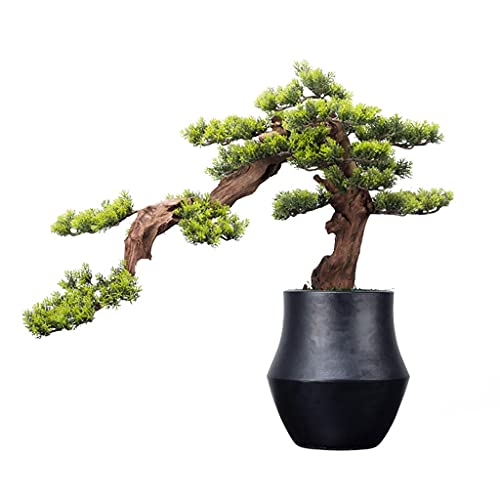 GLETSF Künstliche Baumsimulation Willkommen Kiefer Bonsai Zen Gefälschte Pflanze Topf Teestube Wohnzimmer Grüne Pflanze Dekoration Ornamente 24,0 Zoll Simulation Bonsai-E GLETSF Künstliche Baumsimulation Willkommen Kiefer Bonsai Zen Gefälschte Pflanze Topf Teestube Wohnzimmer Grüne Pflanze Dekoration Ornamente 24,0 Zoll Simulation Bonsai-E von GLETSF