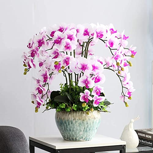 GLETSF Künstliche Blumen Dekor Simulation Real Touch Künstliche Orchidee Blumen Arrangements Latex Orchidee Blumenzucht Topf Phalaenopsis Bonsai GLETSF Künstliche Blumen Dekor Simulation Real Touch Künstliche Orchidee Blumen Arrangements Latex Orchidee Blumenzucht Topf Phalaenopsis Bonsai von GLETSF