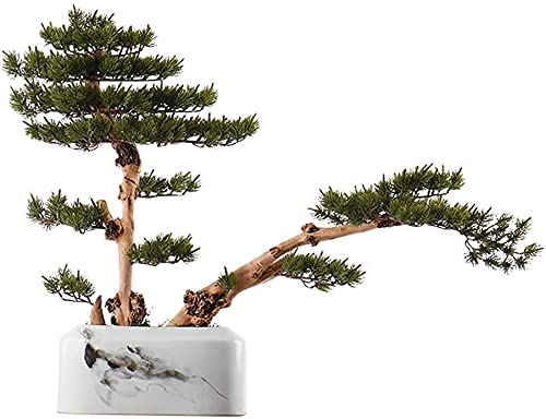 GLETSF Künstliche Bonsai Willkommen Kiefer Weiß Keramik Blumentopf Gefälschte Pflanze Silikon Nadelholz Wohnzimmer Hause Dekoration GLETSF Künstliche Bonsai Willkommen Kiefer Weiß Keramik Blumentopf Gefälschte Pflanze Silikon Nadelholz Wohnzimmer Hause Dekoration von GLETSF