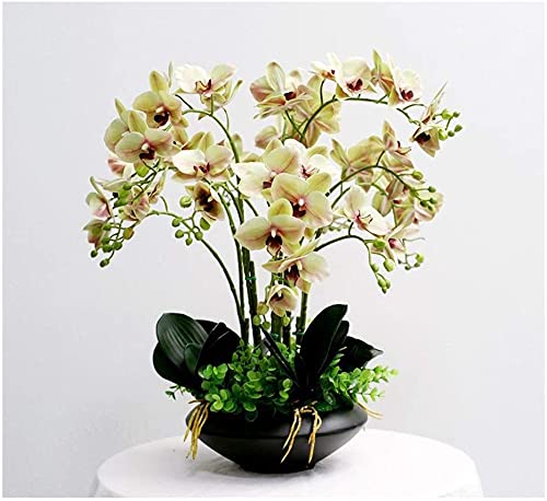GLETSF Künstliche Orchideen Mit Blumentopf-Bonsai, Künstliche Phalaenopsis-Blumenarrangements, Künstliche Phalaenopsis Für Zuhause/Küche/Schlafzimmer/Büro-Yellow GLETSF Künstliche Orchideen Mit Blumentopf-Bonsai, Künstliche Phalaenopsis-Blumenarrangements, Künstliche Phalaenopsis Für Zuhause/Küche/Schlafzimmer/Büro-Yellow von GLETSF