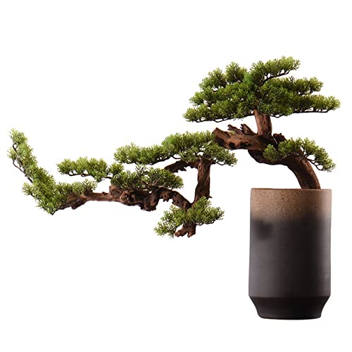 GLETSF Künstliche Pflanzen Für Den Innenbereich, 61 cm, Künstlicher Bonsai, Einladender Kiefernbaum, Simulation Einer Topfpflanze, Dekorativer Bonsai Mit Keramiktöpfen, Topfdeko GLETSF Künstliche Pflanzen Für Den Innenbereich, 61 cm, Künstlicher Bonsai, Einladender Kiefernbaum, Simulation Einer Topfpflanze, Dekorativer Bonsai Mit Keramiktöpfen, Topfdeko von GLETSF