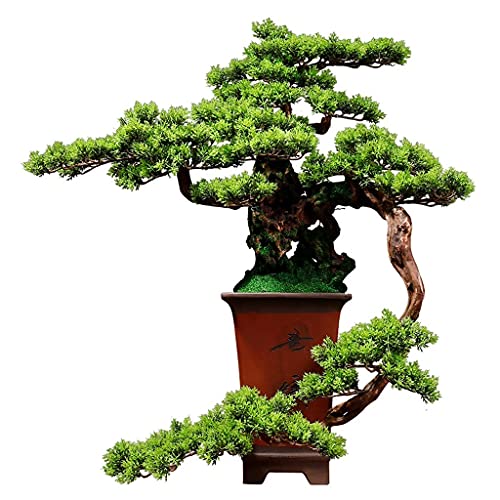 GLETSF Künstliche Pflanzen Für Den Innenbereich, Künstlicher Bonsai, Kunstbaum, Pflanzendekoration, Künstliche Blattwurzelschnitzerei, Kunsthandwerk, Keramik-Blumentopf, Topfpfl GLETSF Künstliche Pflanzen Für Den Innenbereich, Künstlicher Bonsai, Kunstbaum, Pflanzendekoration, Künstliche Blattwurzelschnitzerei, Kunsthandwerk, Keramik-Blumentopf, Topfpfl von GLETSF