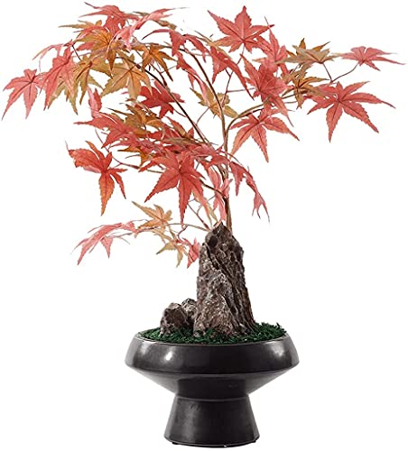 GLETSF Künstlicher Ahorn Bonsai Gefälschte Pflanze Wohnzimmer Innendekoration Simulation Baum Keramik Blumentopf GLETSF Künstlicher Ahorn Bonsai Gefälschte Pflanze Wohnzimmer Innendekoration Simulation Baum Keramik Blumentopf von GLETSF