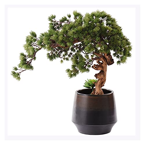 GLETSF Künstlicher Baum, Künstlicher Bonsai-Baum, Künstliche Sukkulente, Natürliche Atmosphäre, Gefälschte Grüne Blumentopfdekoration, Wohnzimmer, Arbeitszimmer, Büro, Simulation Bon von GLETSF