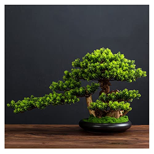 GLETSF Künstlicher Baum Künstliche Baumsimulation Willkommen Kiefer Bonsai Desktop-Ornamente Wohnzimmer Eingang Teestube Dekoration Büro Grünpflanzen Gefälschte Topfpflanzen Simulati-B GLETSF Künstlicher Baum Künstliche Baumsimulation Willkommen Kiefer Bonsai Desktop-Ornamente Wohnzimmer Eingang Teestube Dekoration Büro Grünpflanzen Gefälschte Topfpflanzen Simulati-B von GLETSF