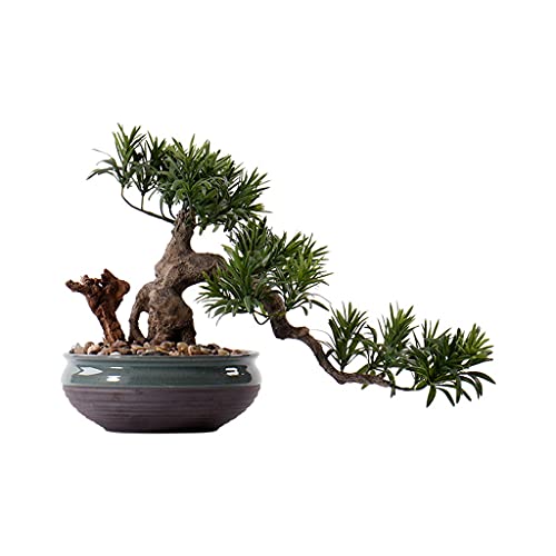 GLETSF Künstlicher Baum Künstlicher Baum Simulation Kiefer Bonsai Gefälschte Willkommen Kiefer Topf Dekoration Künstliche Pflanze Innendekoration 11,8 Zoll Simulation Bonsai GLETSF Künstlicher Baum Künstlicher Baum Simulation Kiefer Bonsai Gefälschte Willkommen Kiefer Topf Dekoration Künstliche Pflanze Innendekoration 11,8 Zoll Simulation Bonsai von GLETSF