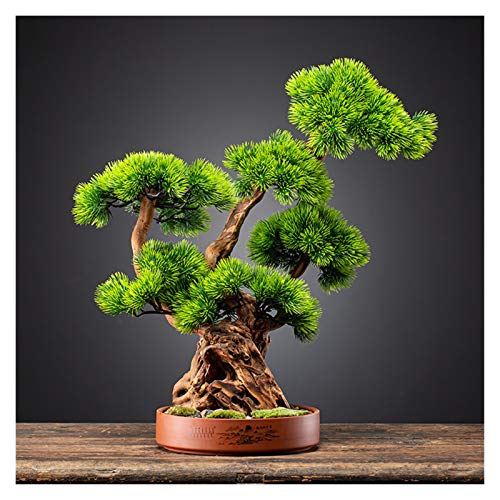 GLETSF Künstlicher Baum Willkommen Kiefer Klippe Zypresse Simulation Bonsai Wohnzimmer Hoteleingang Dekoration Ornamente Lila Sand Blumentopf Pflanzen Simulation Bonsai-B GLETSF Künstlicher Baum Willkommen Kiefer Klippe Zypresse Simulation Bonsai Wohnzimmer Hoteleingang Dekoration Ornamente Lila Sand Blumentopf Pflanzen Simulation Bonsai-B von GLETSF