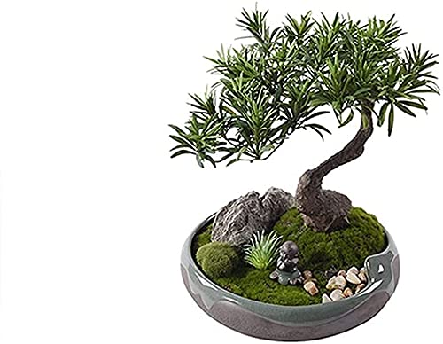 GLETSF Künstlicher Bonsai-Baum, Lebensechte Podocarpus-Kiefer, Simulationsrasen, Natürliche Kieselsteine, Keramikporträt, Keramik, Eisrissiger Blumentopf, Chinesische Schreibtischdek GLETSF Künstlicher Bonsai-Baum, Lebensechte Podocarpus-Kiefer, Simulationsrasen, Natürliche Kieselsteine, Keramikporträt, Keramik, Eisrissiger Blumentopf, Chinesische Schreibtischdek von GLETSF