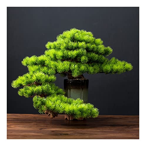 GLETSF Künstlicher Bonsai-Kiefernbaum, Simulation, Grünpflanze, Bonsai, Für Den Innenbereich, Künstliche Topfpflanze, Künstliche Zimmerpflanzen Für Schreibtisch, Home Office, Di-B GLETSF Künstlicher Bonsai-Kiefernbaum, Simulation, Grünpflanze, Bonsai, Für Den Innenbereich, Künstliche Topfpflanze, Künstliche Zimmerpflanzen Für Schreibtisch, Home Office, Di-B von GLETSF