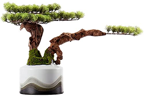 GLETSF Künstlicher Bonsai Willkommen Kiefer Gefälschter Baum Topf Silikon Nadelbaum Weiß Keramik Blumentopf Home Wohnzimmer Dekoration GLETSF Künstlicher Bonsai Willkommen Kiefer Gefälschter Baum Topf Silikon Nadelbaum Weiß Keramik Blumentopf Home Wohnzimmer Dekoration von GLETSF