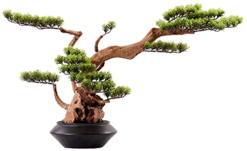 GLETSF Künstlicher Bonsai Willkommen Kiefer Schwarz Keramik Blumentopf Gefälschte Baum Silikon Nadelbaum Büro Wohnzimmer Dekoration GLETSF Künstlicher Bonsai Willkommen Kiefer Schwarz Keramik Blumentopf Gefälschte Baum Silikon Nadelbaum Büro Wohnzimmer Dekoration von GLETSF