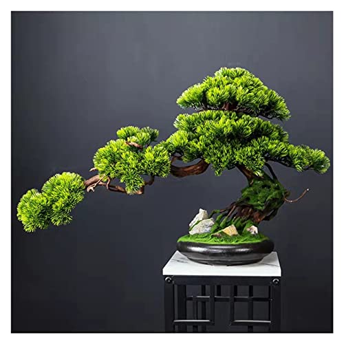 GLETSF Pflanze Home Dector Simulierte Willkommen Kiefer Bonsai Dekoration Wohnzimmer Gefälschte Baum Topfpflanze Ornamente Künstliche Landschaft Ästhetik von GLETSF