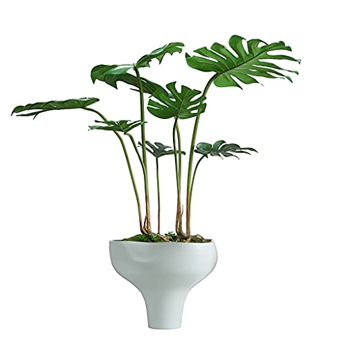 GLETSF Simulationsbaum, Künstliche Pflanze, Lebensechte Natürliche Simulation, Schildkrötenrückenblatt Mit Keramik-Blumentopf, Grünpflanze, Bonsai Für Moderne Heimbüro-Dekoration, Kü von GLETSF