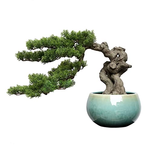 Gefälschte Pflanzen Simulation Bonsai Thuja Kiefer Begrüßungskiefer Bonsai Grüne Pflanze Home Office Desktop Garten Dekoration Ornamente Künstliche Pflanzen Indoor Gefälschte Pflanzen Simulation Bonsai Thuja Kiefer Begrüßungskiefer Bonsai Grüne Pflanze Home Office Desktop Garten Dekoration Ornamente Künstliche Pflanzen Indoor von GLETSF