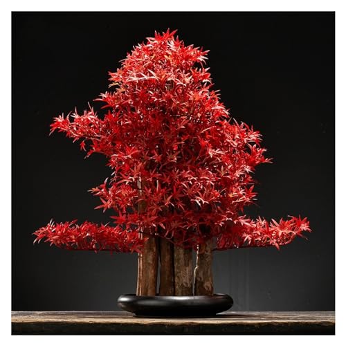 Künstliche Pflanzen Im Chinesischen Stil Für Den Innenbereich, Simulation Einer Grünen Pflanze, Einladende Kiefer, Bonsai, Hoteldekoration, Ornamente, Heimlandschaftsdeko-C Künstliche Pflanzen Im Chinesischen Stil Für Den Innenbereich, Simulation Einer Grünen Pflanze, Einladende Kiefer, Bonsai, Hoteldekoration, Ornamente, Heimlandschaftsdeko-C von GLETSF