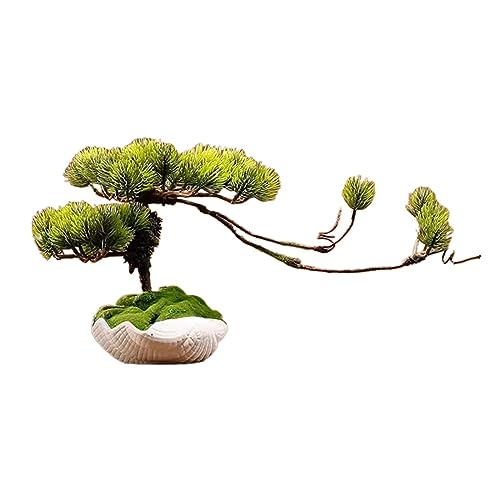 Künstliche Pflanzen Simuliertes Bonsai-Dekorationsset Kleine Pflanzen Wohnzimmer-Desktop-Dekoration Falsche Kiefer Keramik-Blumentopf Bonsai-Kiefer-C-C Künstliche Pflanzen Simuliertes Bonsai-Dekorationsset Kleine Pflanzen Wohnzimmer-Desktop-Dekoration Falsche Kiefer Keramik-Blumentopf Bonsai-Kiefer-C-C von GLETSF