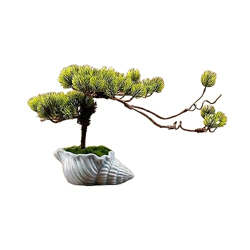 Künstliche Pflanzen Simuliertes Bonsai-Dekorationsset Kleine Pflanzen Wohnzimmer-Desktop-Dekoration Falsche Kiefer Keramik-Blumentopf Bonsai-Kiefer-C-D Künstliche Pflanzen Simuliertes Bonsai-Dekorationsset Kleine Pflanzen Wohnzimmer-Desktop-Dekoration Falsche Kiefer Keramik-Blumentopf Bonsai-Kiefer-C-D von GLETSF