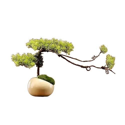 Künstliche Pflanzen Simuliertes Bonsai-Dekorationsset Kleine Pflanzen Wohnzimmer-Desktop-Dekoration Falsche Kiefer Keramik-Blumentopf Bonsai-Kiefer-C-Gold Künstliche Pflanzen Simuliertes Bonsai-Dekorationsset Kleine Pflanzen Wohnzimmer-Desktop-Dekoration Falsche Kiefer Keramik-Blumentopf Bonsai-Kiefer-C-Gold von GLETSF